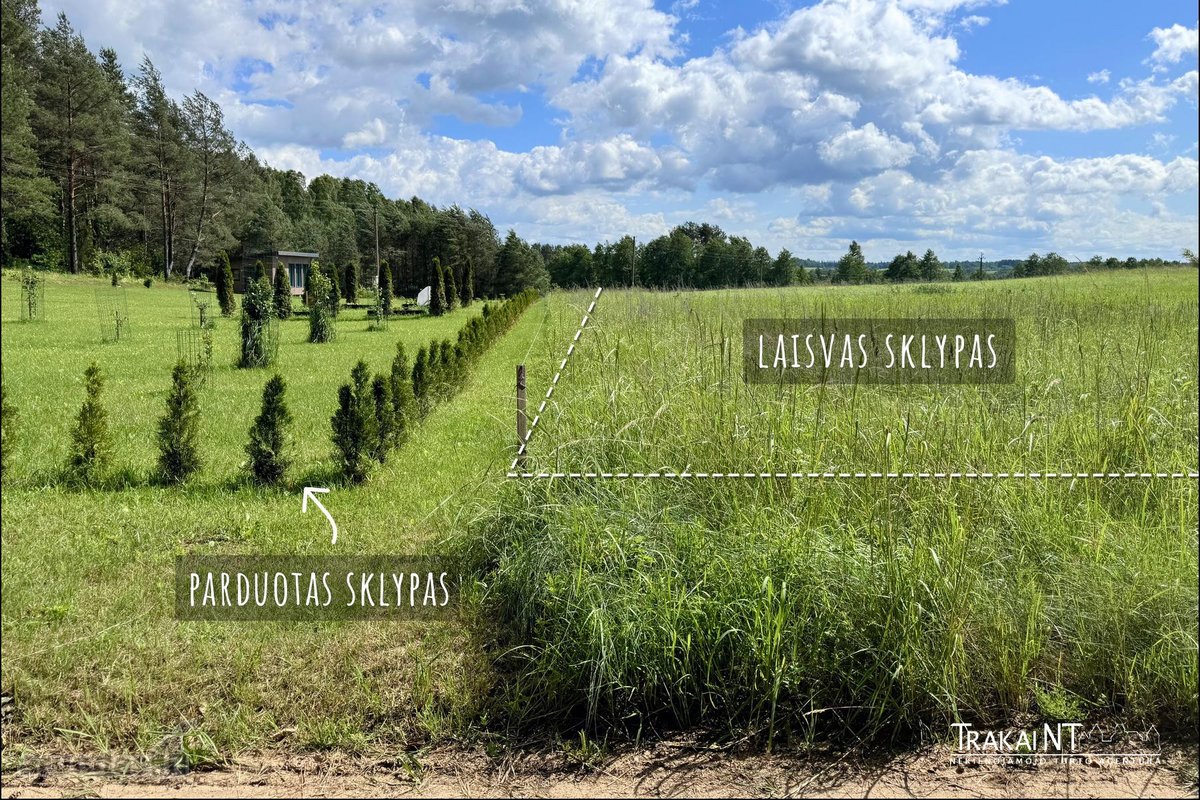 Parduodami Sklypai Vilkokšnio K., Trakų R. - nuotraukos Nr. 10