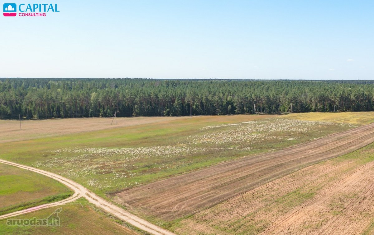 Namų valdos sklypai Trakų rajone Paluknio kaime - nuotraukos Nr. 5