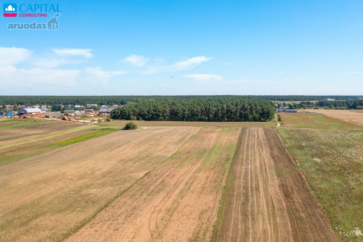 Namų valdos sklypai Trakų rajone Paluknio kaime - nuotraukos Nr. 6