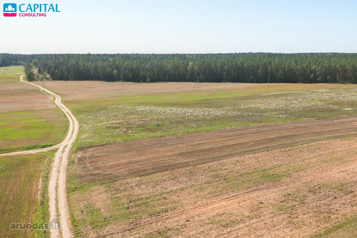 Namų valdos sklypai Trakų rajone Paluknio kaime - nuotraukos Nr. 7