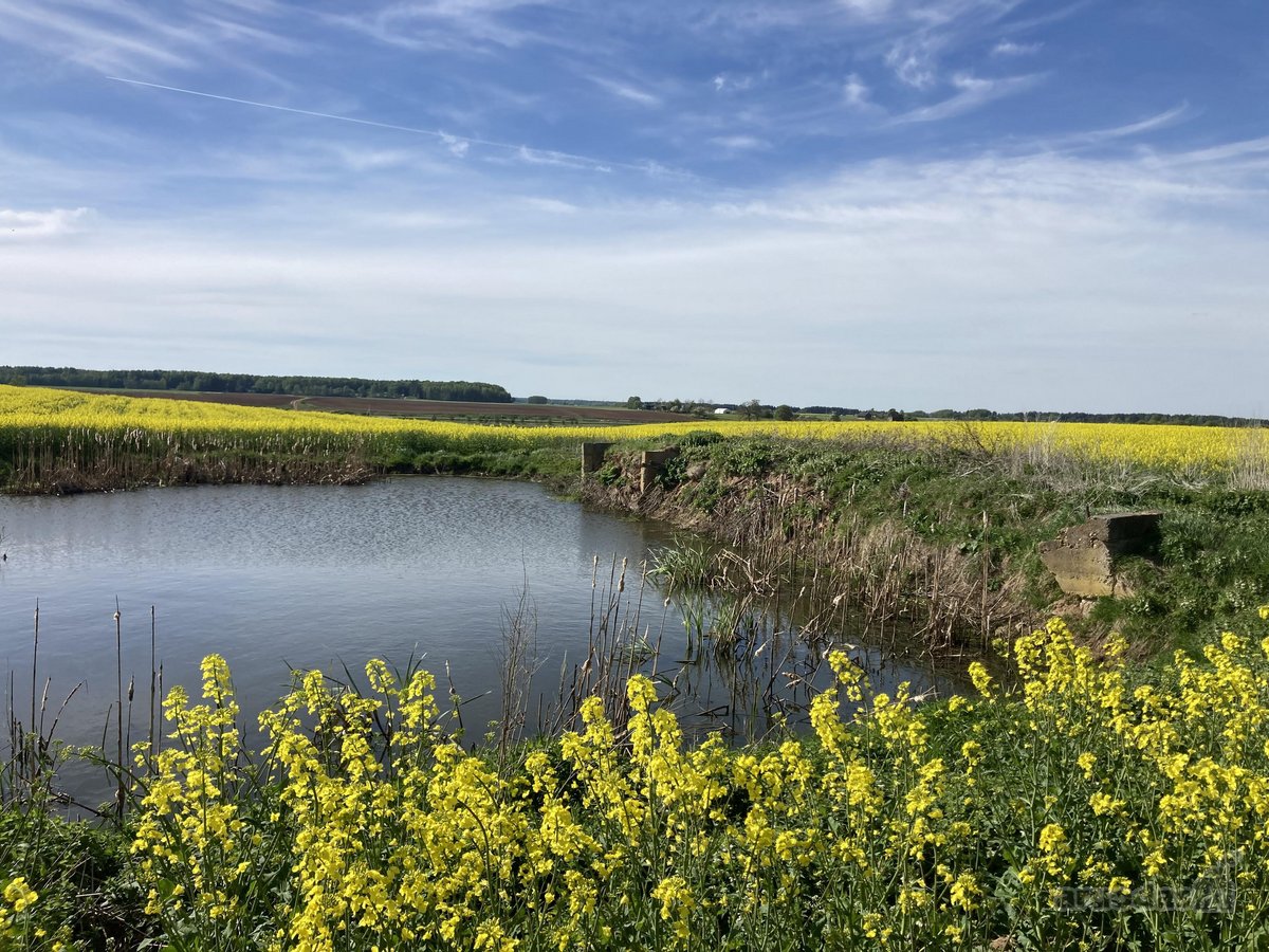 Parduodamas 1,47 Hektarų Žemės Ūkio - nuotraukos Nr. 6