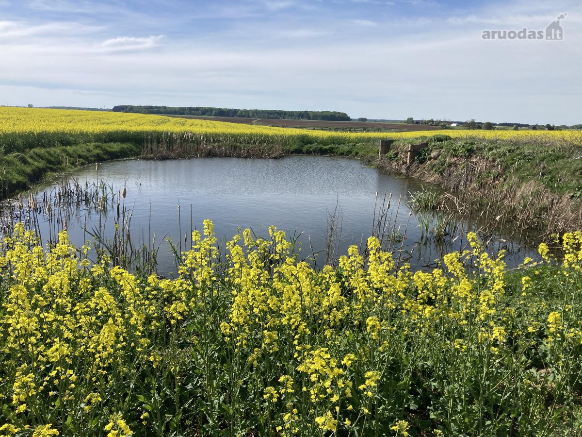Parduodamas 1,47 Hektarų Žemės Ūkio - nuotraukos Nr. 8