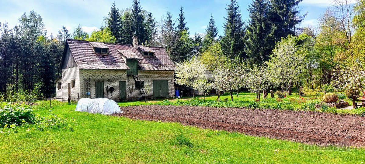 Ieškote erdvios sodybos ramioje vietoje, kur - nuotraukos Nr. 9