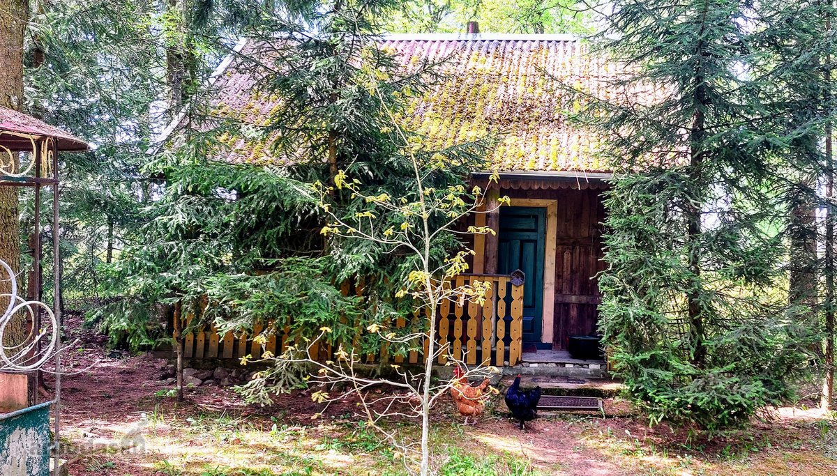Ieškote erdvios sodybos ramioje vietoje, kur - nuotraukos Nr. 13