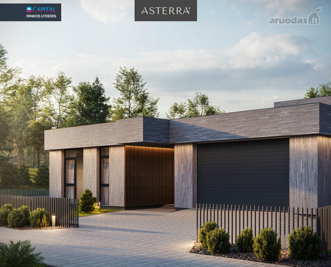 Asterra - nuotraukos Nr. 38