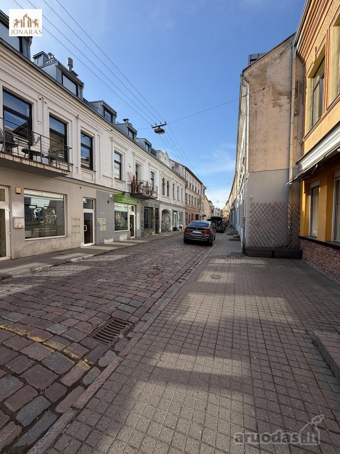 Parduodamas Jaukus 1 Kambario Butas Kauno - nuotraukos Nr. 7