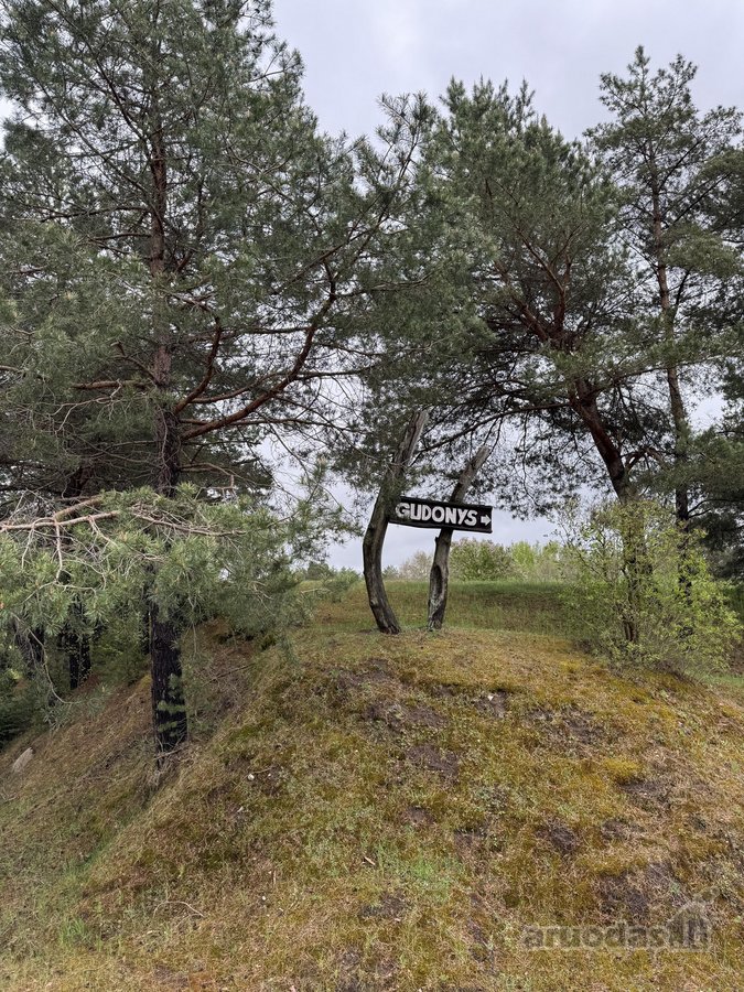 Parduodamas sklypas namų valdos statybai ar - nuotraukos Nr. 3