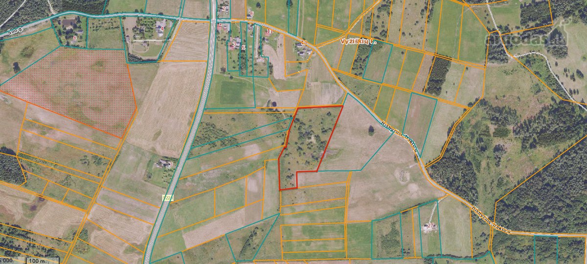 Vilniaus raj. , Lavoriškių sen., Vyžiškių k. - nuotraukos Nr. 4
