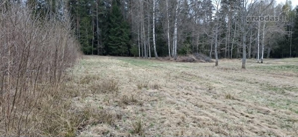 Tyli ir graži vieta .Galima išsikasti - nuotraukos Nr. 6