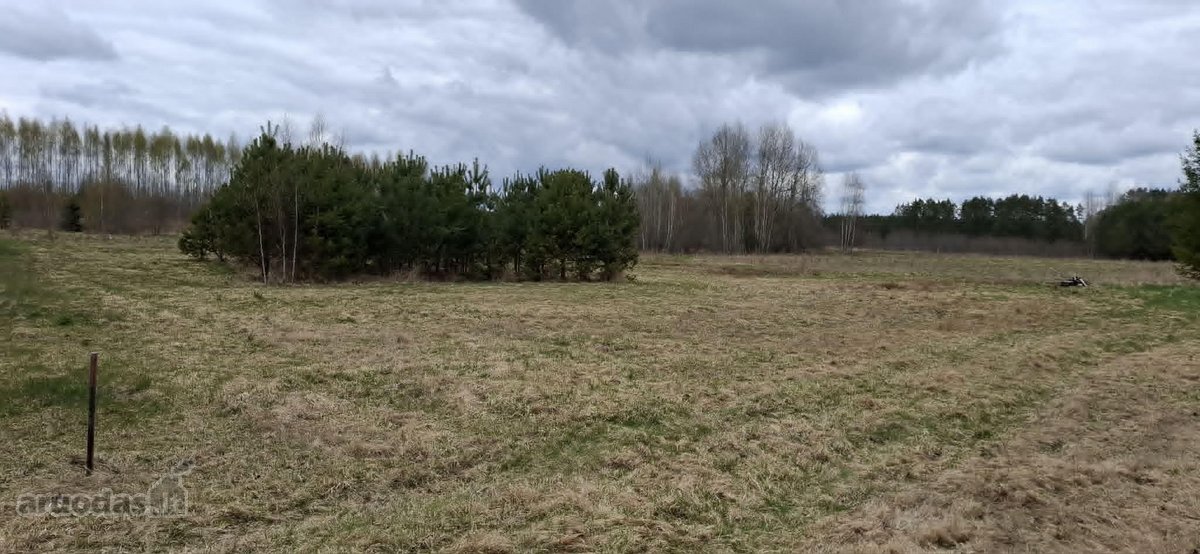 Tyli ir graži vieta .Galima išsikasti - nuotraukos Nr. 7