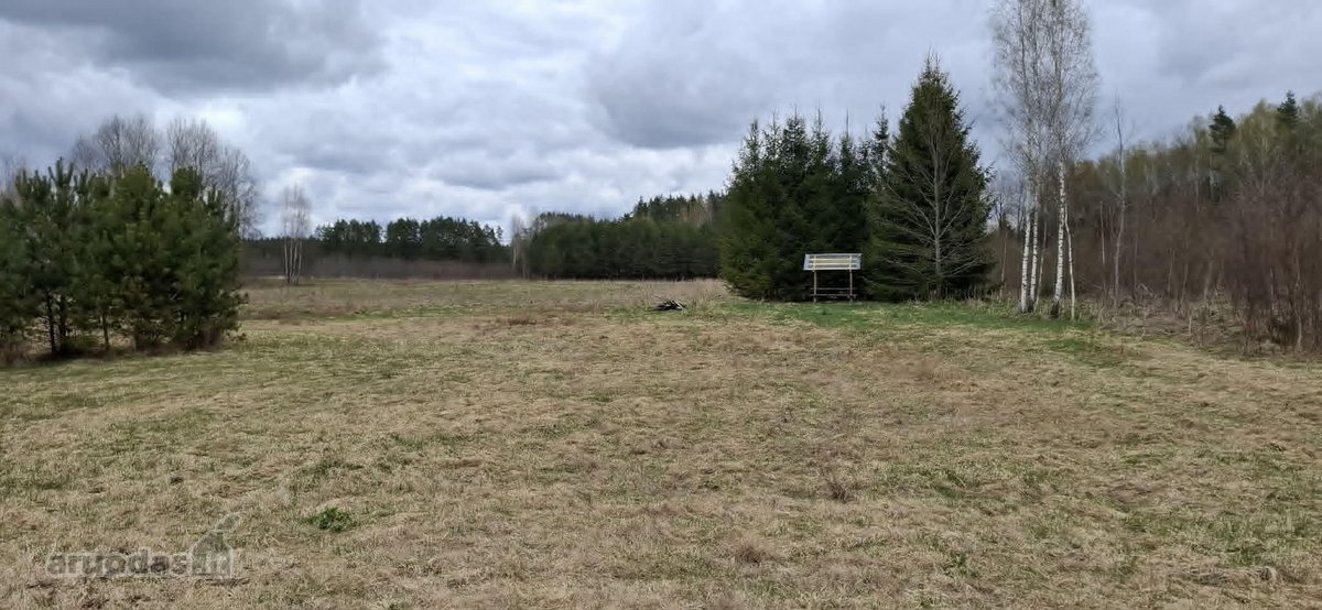 Tyli ir graži vieta .Galima išsikasti - nuotraukos Nr. 2