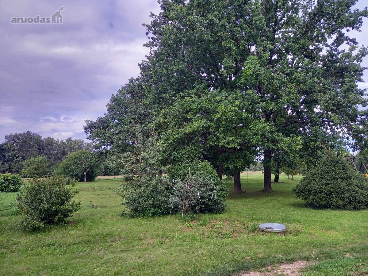 Išskirtinė Sodyba Tarp Ąžuolų – 292 Kv.m - nuotraukos Nr. 8