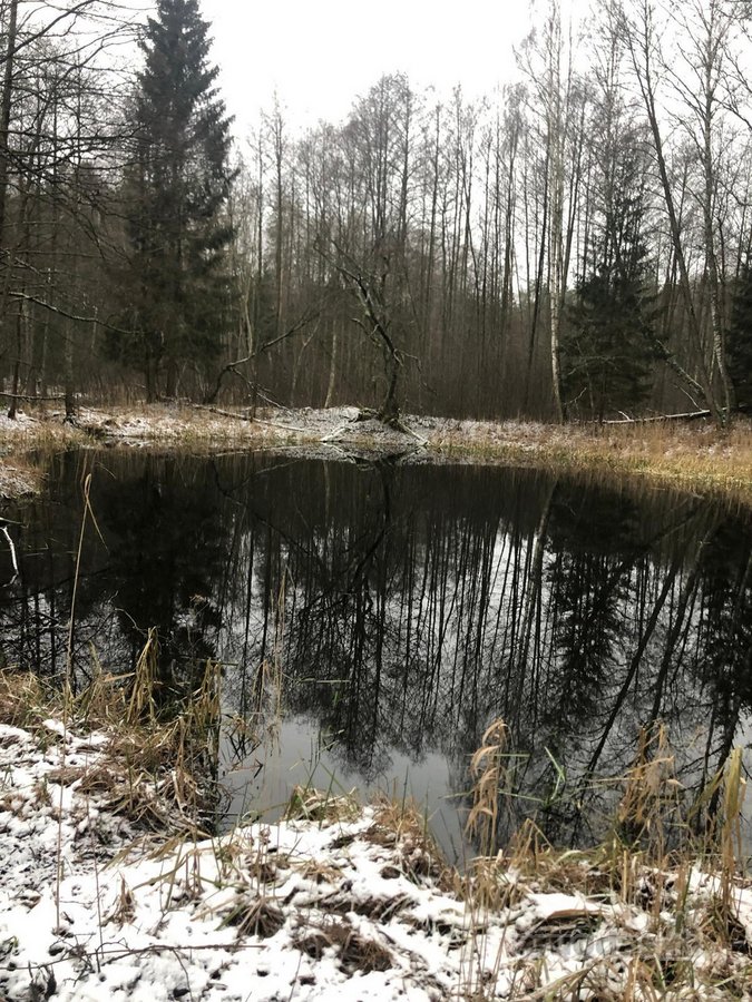 Parduodamas išskirtinis 14,22 ha sklypas prie