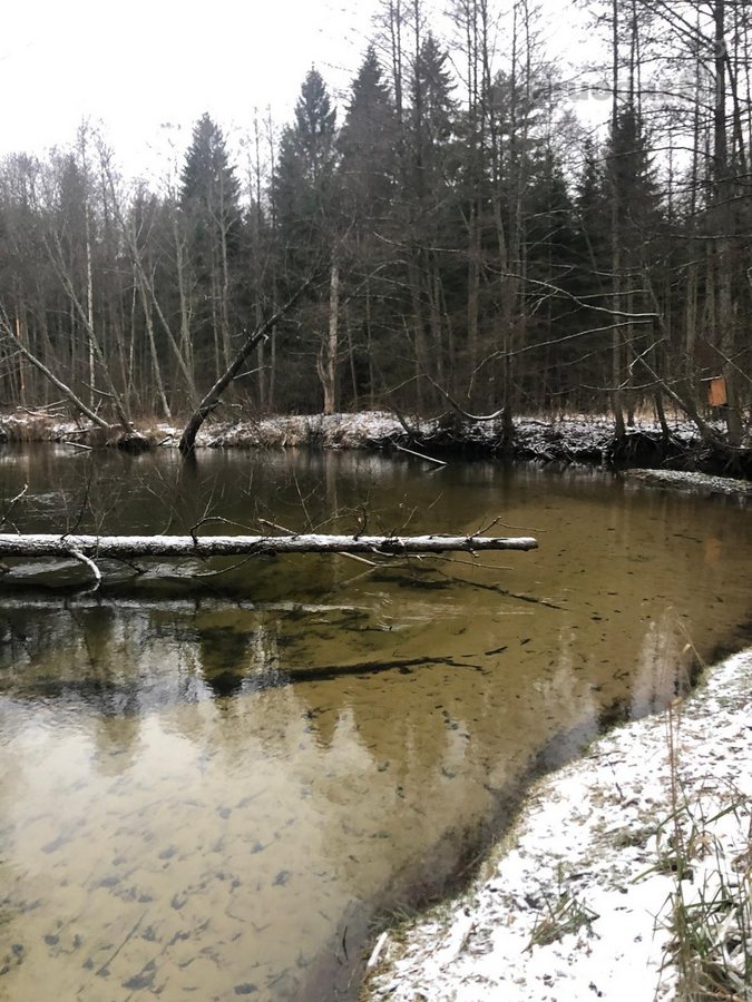 Parduodamas išskirtinis 14,22 ha sklypas prie - nuotraukos Nr. 5