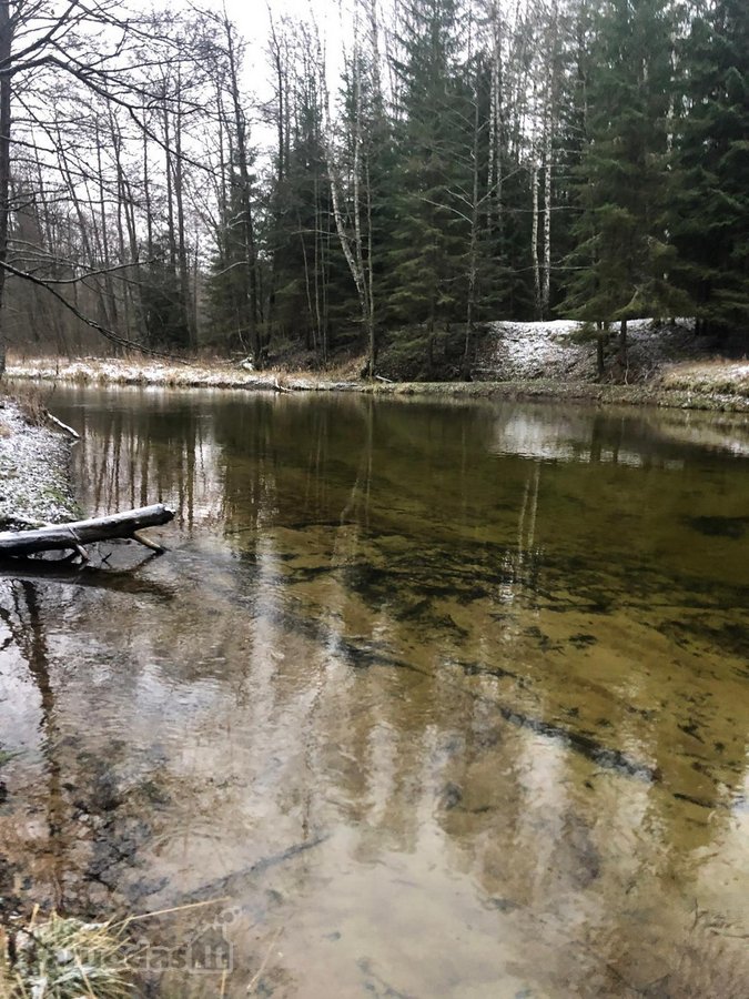 Parduodamas išskirtinis 14,22 ha sklypas prie - nuotraukos Nr. 8