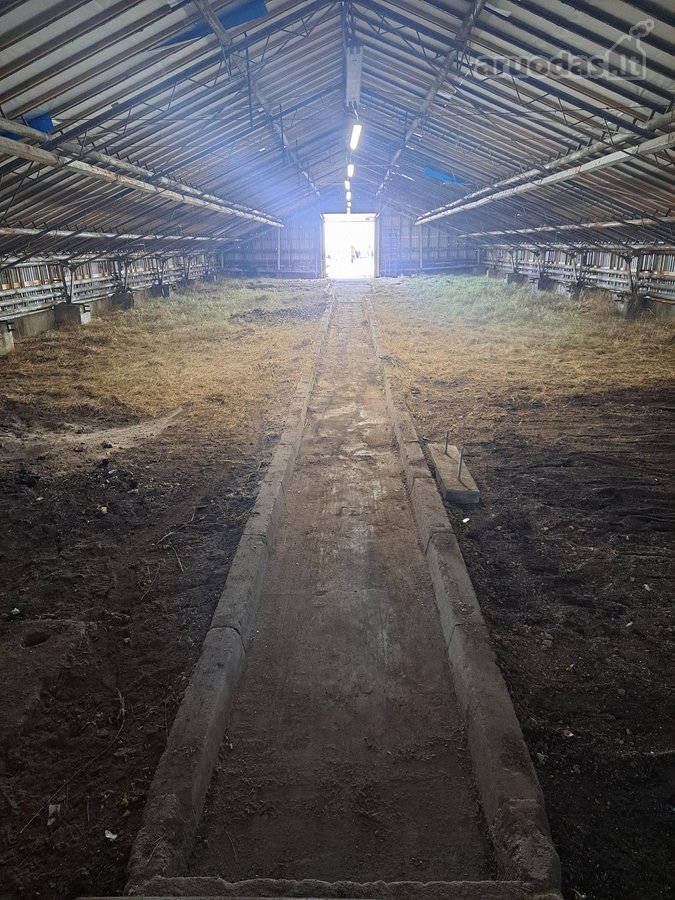 Išnuomojamos 212,16 kv.m. ploto patalpos - nuotraukos Nr. 8