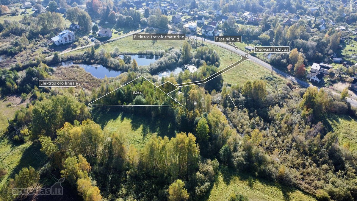 Vaizdingoje Rastinėnų gatvėje, Bubų - nuotraukos Nr. 2