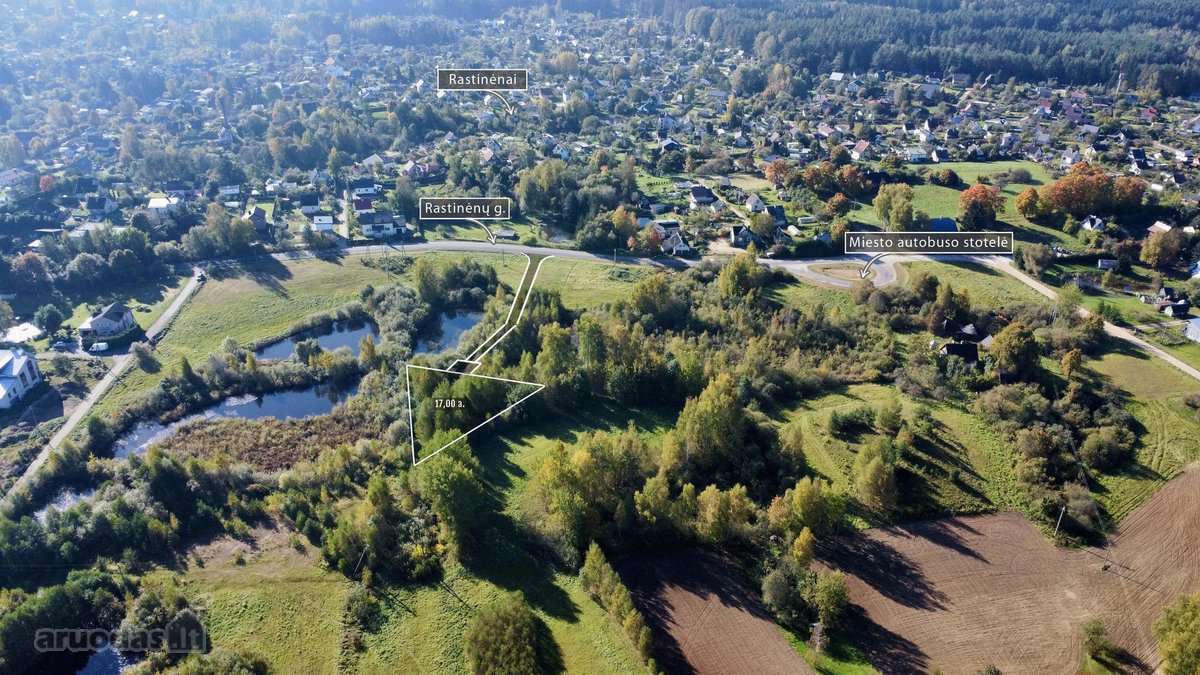 Vaizdingoje Rastinėnų gatvėje, Bubų - nuotraukos Nr. 5