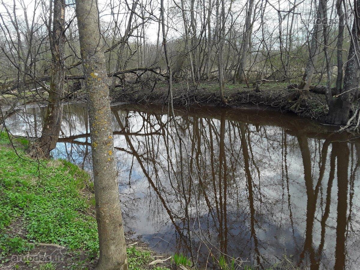 Parduodamas išskirtinis sklypas su namų valda - nuotraukos Nr. 4