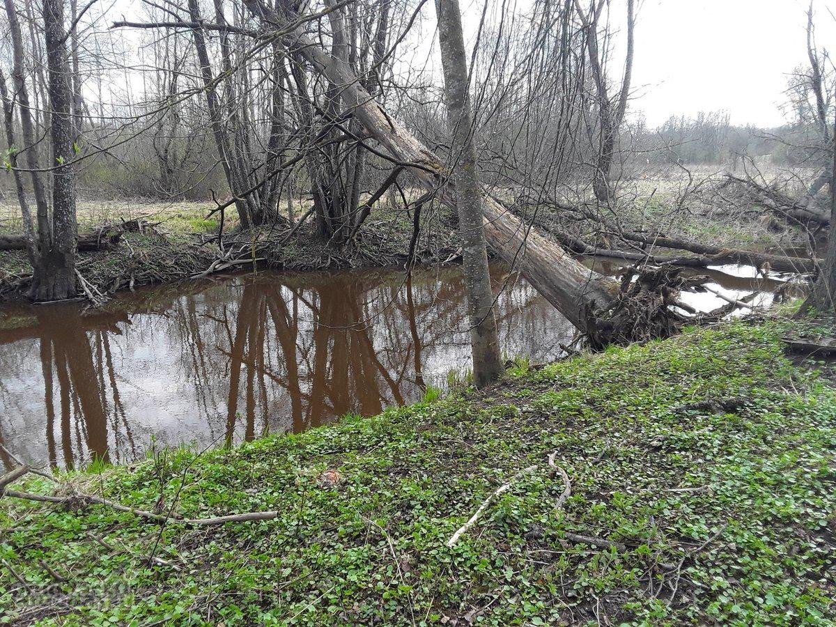 Parduodamas išskirtinis sklypas su namų valda - nuotraukos Nr. 3