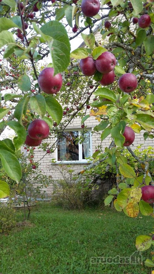 Dusetose, Kalno g ( Zarasų raj) parduodamas - nuotraukos Nr. 7