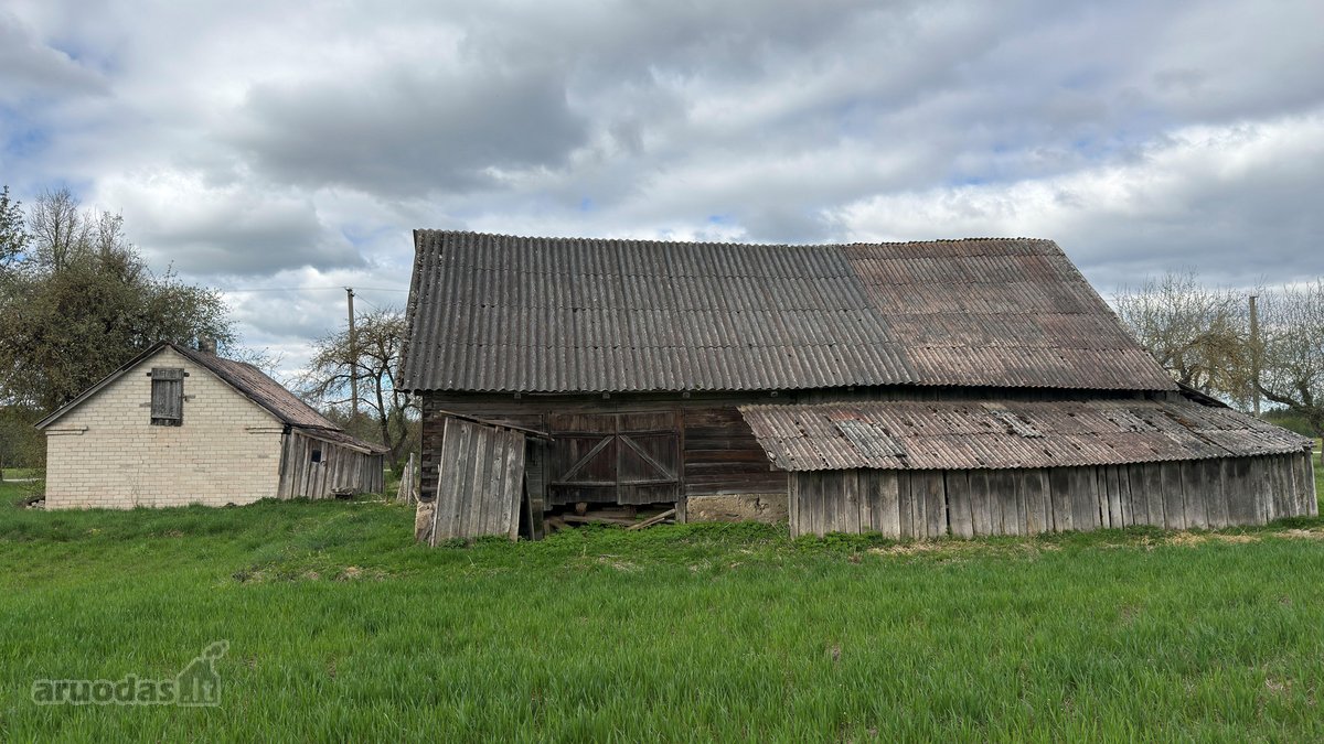 Parduodama sodyba ramioje kaimelio vietovėje. - nuotraukos Nr. 7