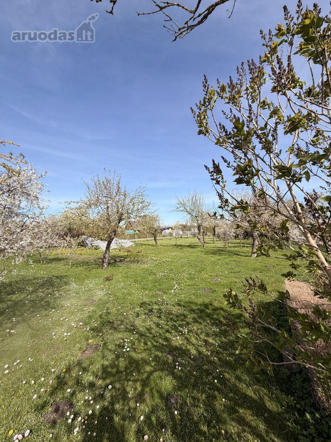 Parduodami du vienas šalia kito esantys - nuotraukos Nr. 6