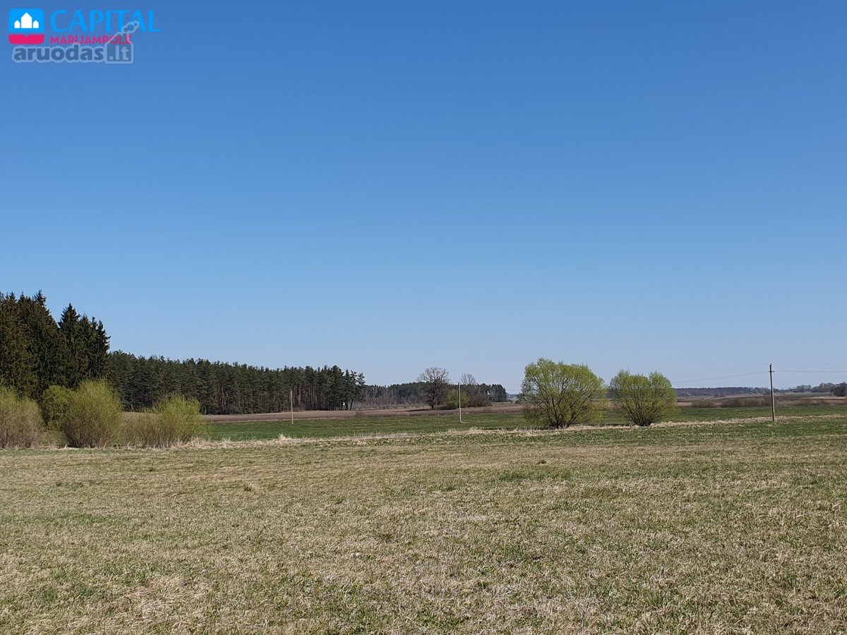 Parduodamas žemės ūkio paskirties sklypas - nuotraukos Nr. 2