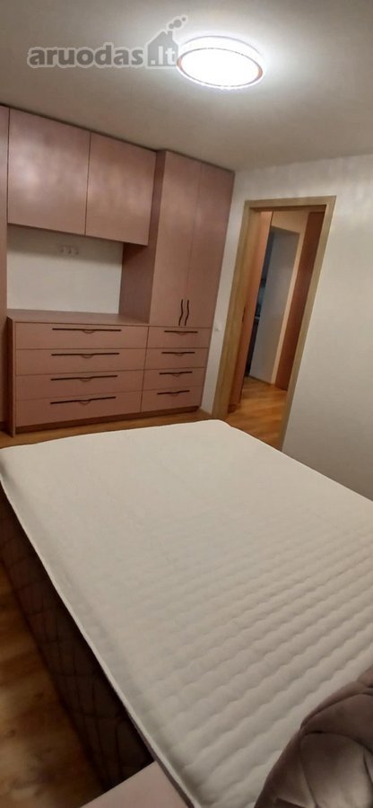 Nuomojamas butas su visa buitine technika ir - nuotraukos Nr. 6