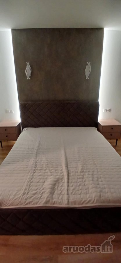 Nuomojamas butas su visa buitine technika ir - nuotraukos Nr. 5