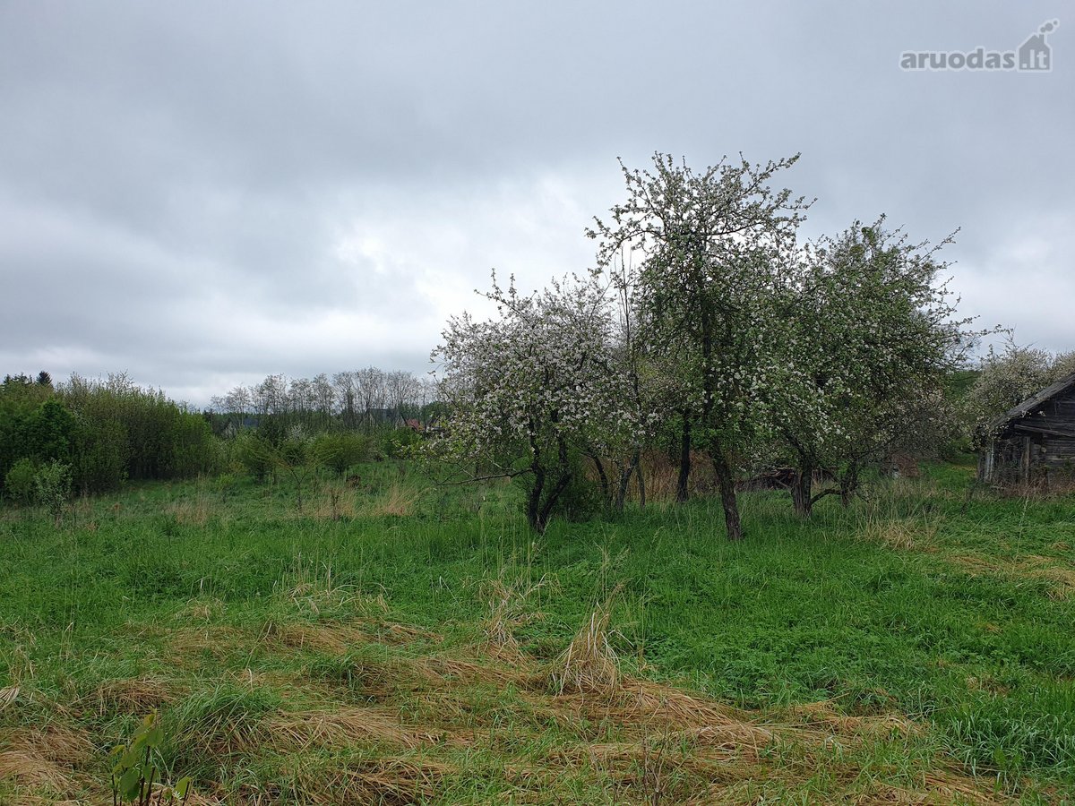 Sodyba 1940m. būklė vidutiniška.  - nuotraukos Nr. 7