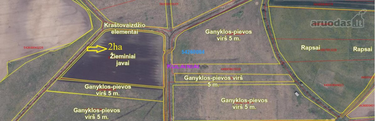 Parduodami žemės ūkio paskirties sklypai - nuotraukos Nr. 4