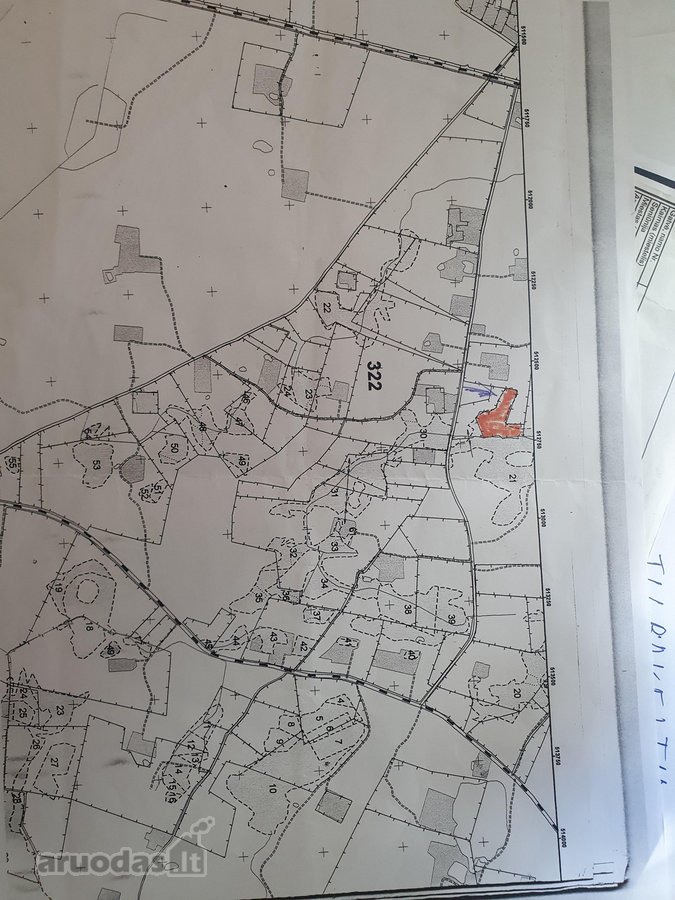 1,3 Ha Brandus miskas (Juodalksnis )