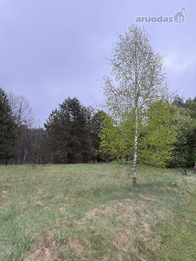 Parduodami žemės ūkio paskirties sklypai - nuotraukos Nr. 2
