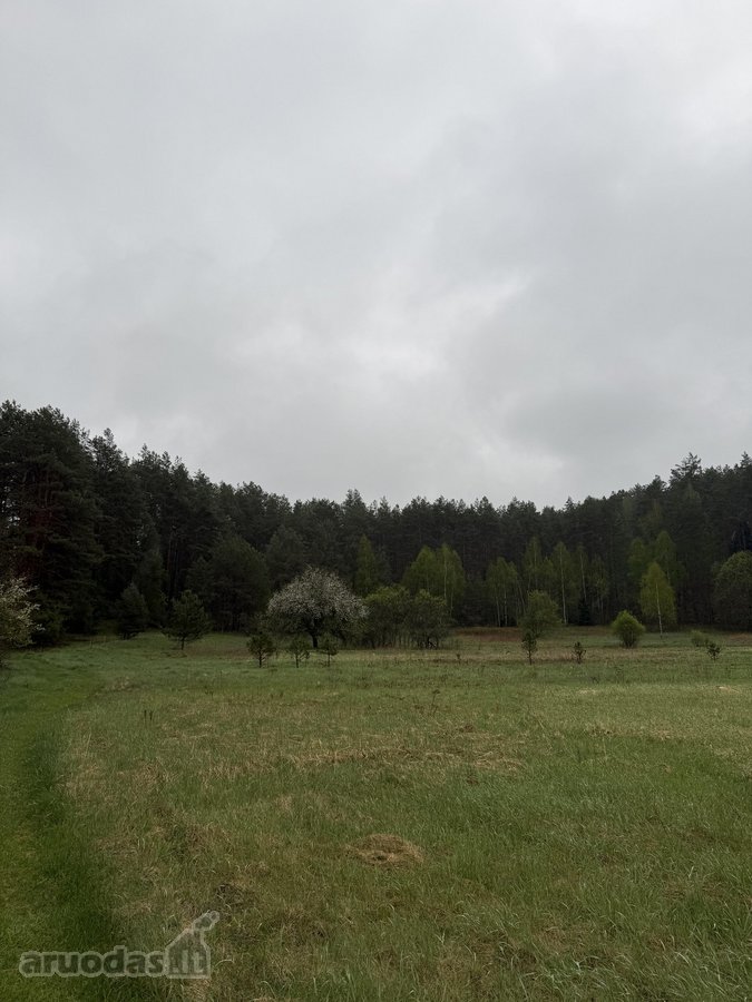 Parduodami žemės ūkio paskirties sklypai - nuotraukos Nr. 3