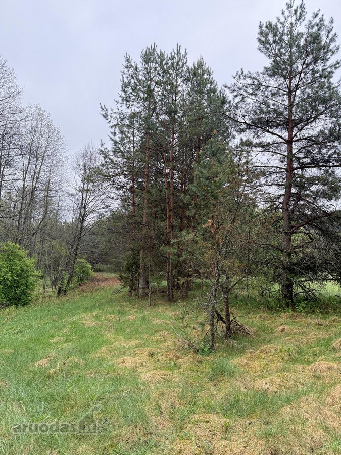 Parduodami žemės ūkio paskirties sklypai - nuotraukos Nr. 5