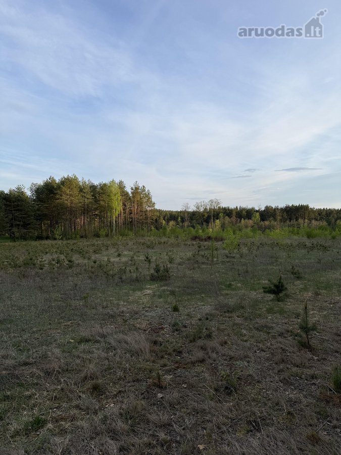 Parduodami namų valdų ir miškų ūkio - nuotraukos Nr. 2