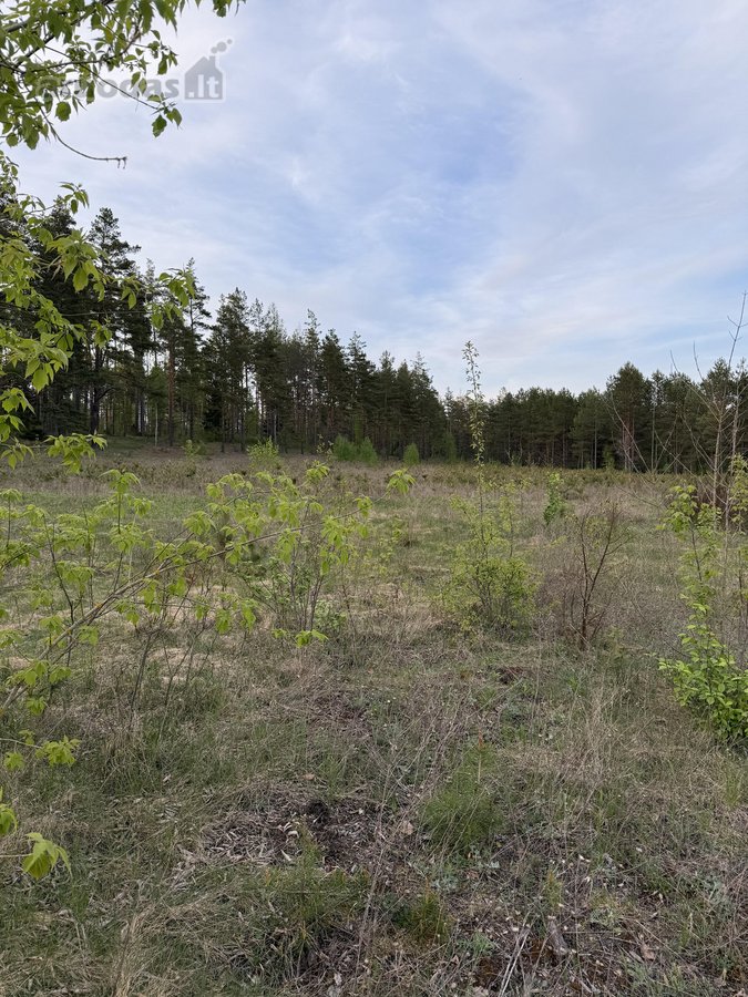 Parduodami namų valdų ir miškų ūkio - nuotraukos Nr. 6