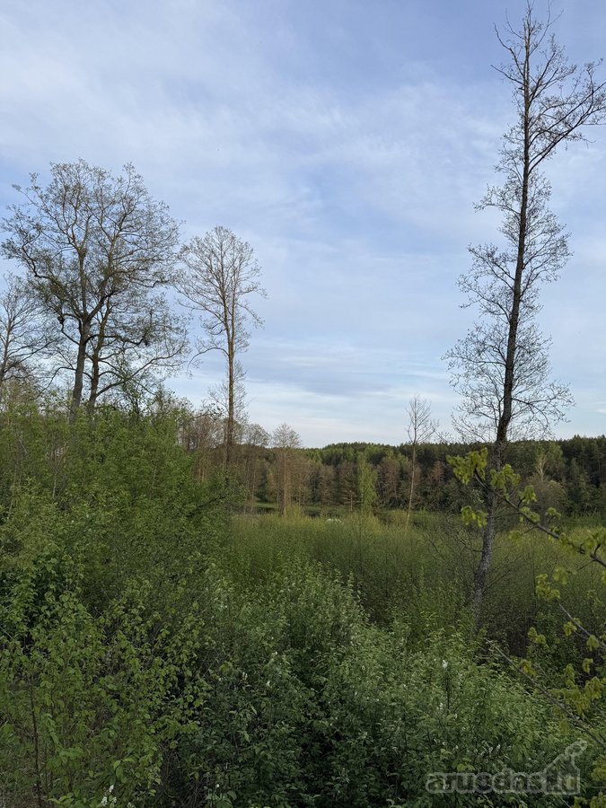 Parduodami namų valdų ir miškų ūkio