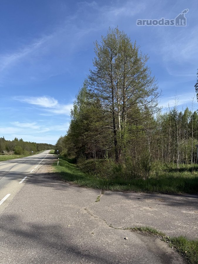 Parduodamas erdvus ir perspektyvus žemės ūkio - nuotraukos Nr. 2
