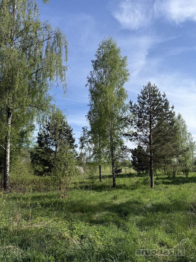 Parduodamas erdvus ir perspektyvus žemės ūkio - nuotraukos Nr. 5