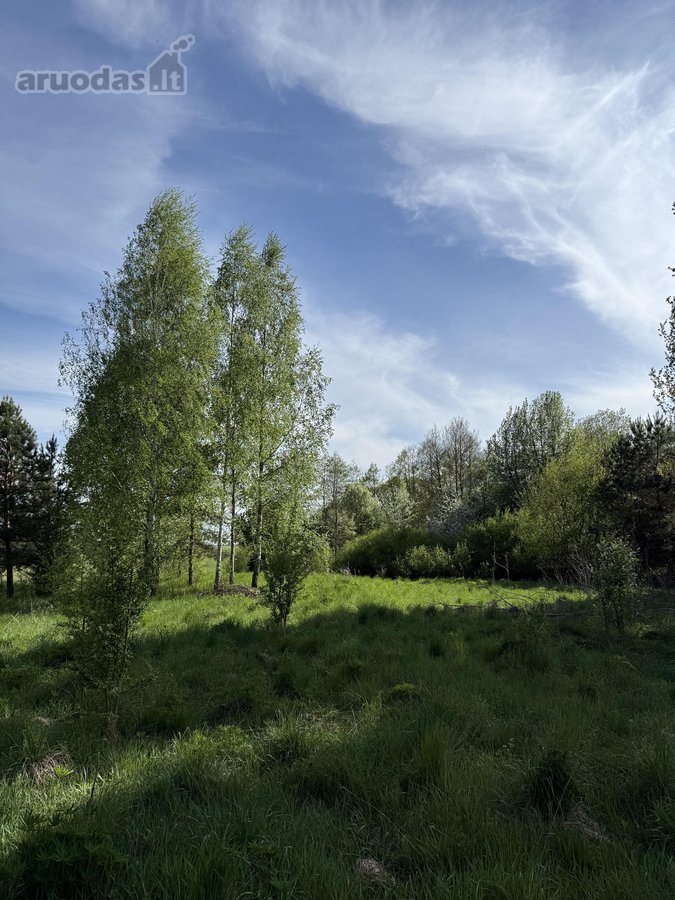 Parduodamas erdvus ir perspektyvus žemės ūkio - nuotraukos Nr. 6