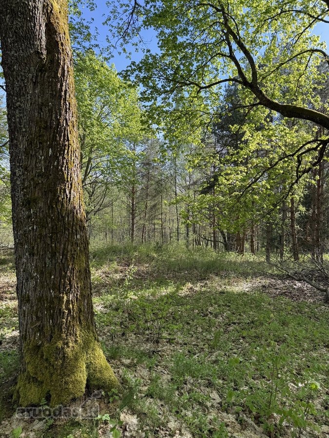 Parduodamas namų valdos sklypas atokioje - nuotraukos Nr. 2