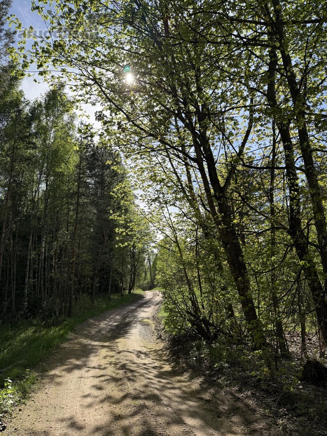 Parduodamas namų valdos sklypas atokioje - nuotraukos Nr. 4