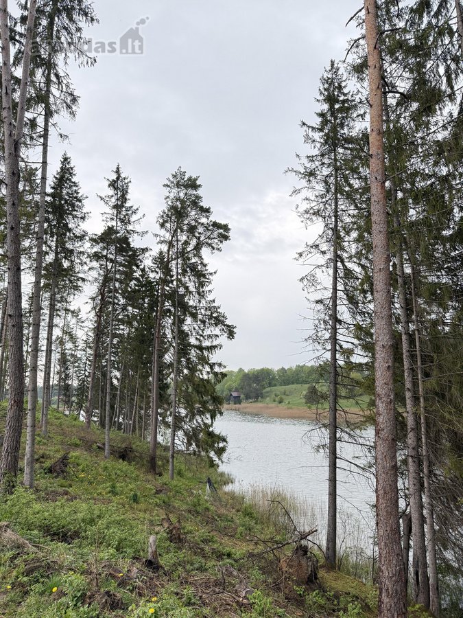 Parduodamas miškų ūkio paskirties sklypas