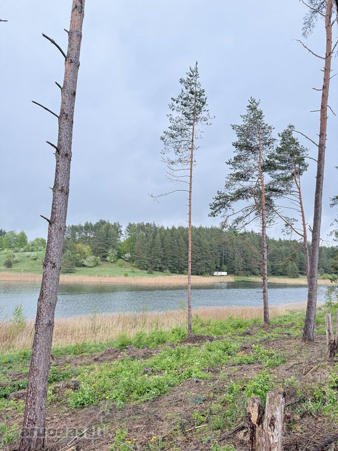 Parduodamas miškų ūkio paskirties sklypas - nuotraukos Nr. 5