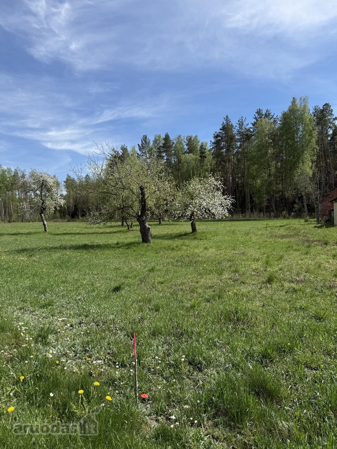 Parduodami namų valdų sklypai šalia - nuotraukos Nr. 3