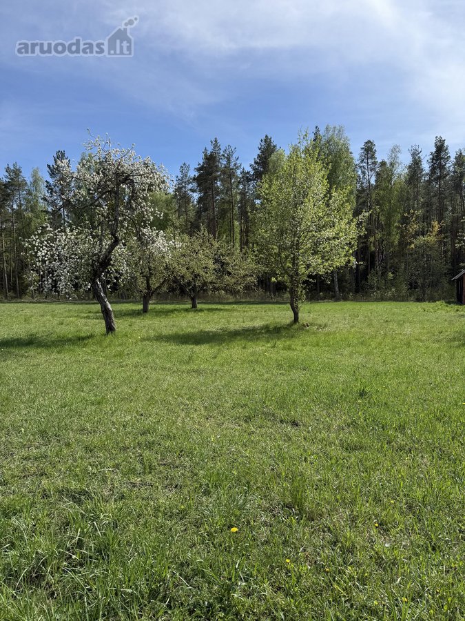 Parduodami namų valdų sklypai šalia - nuotraukos Nr. 4