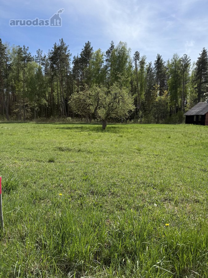 Parduodami namų valdų sklypai šalia - nuotraukos Nr. 5