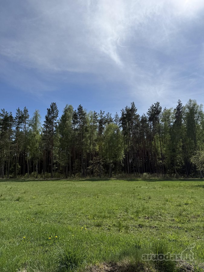 Parduodami namų valdų sklypai šalia - nuotraukos Nr. 6